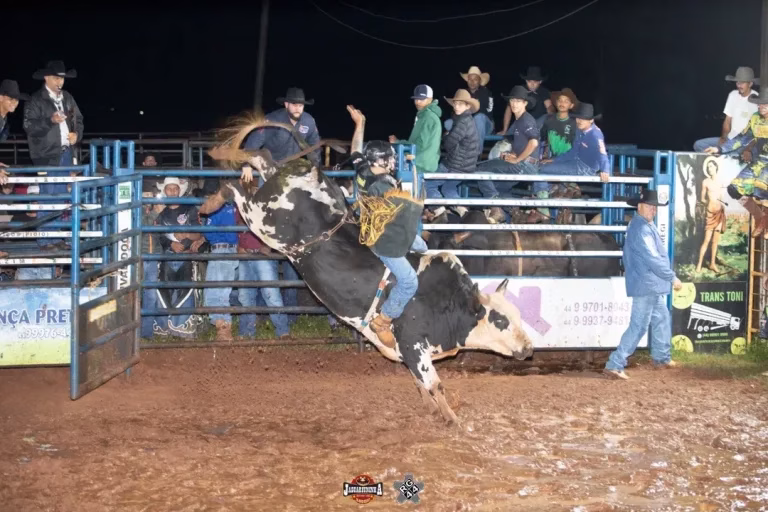 SaveClip.App 612432388 18078280001265259 642617506771325931 n